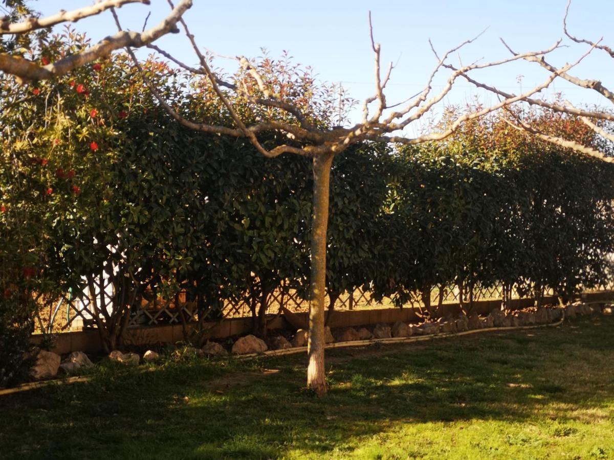 Casa Rural, Masia Antigua Restaurada Begur Eksteriør billede